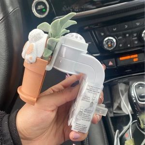Wallflower plug